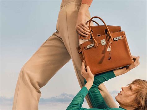 hermes bag campaign|hermes fall 2024 campaign.